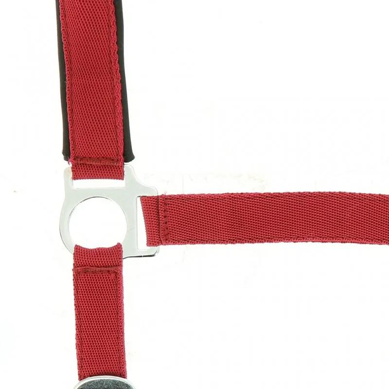 Недоуздок NORTON NYLON