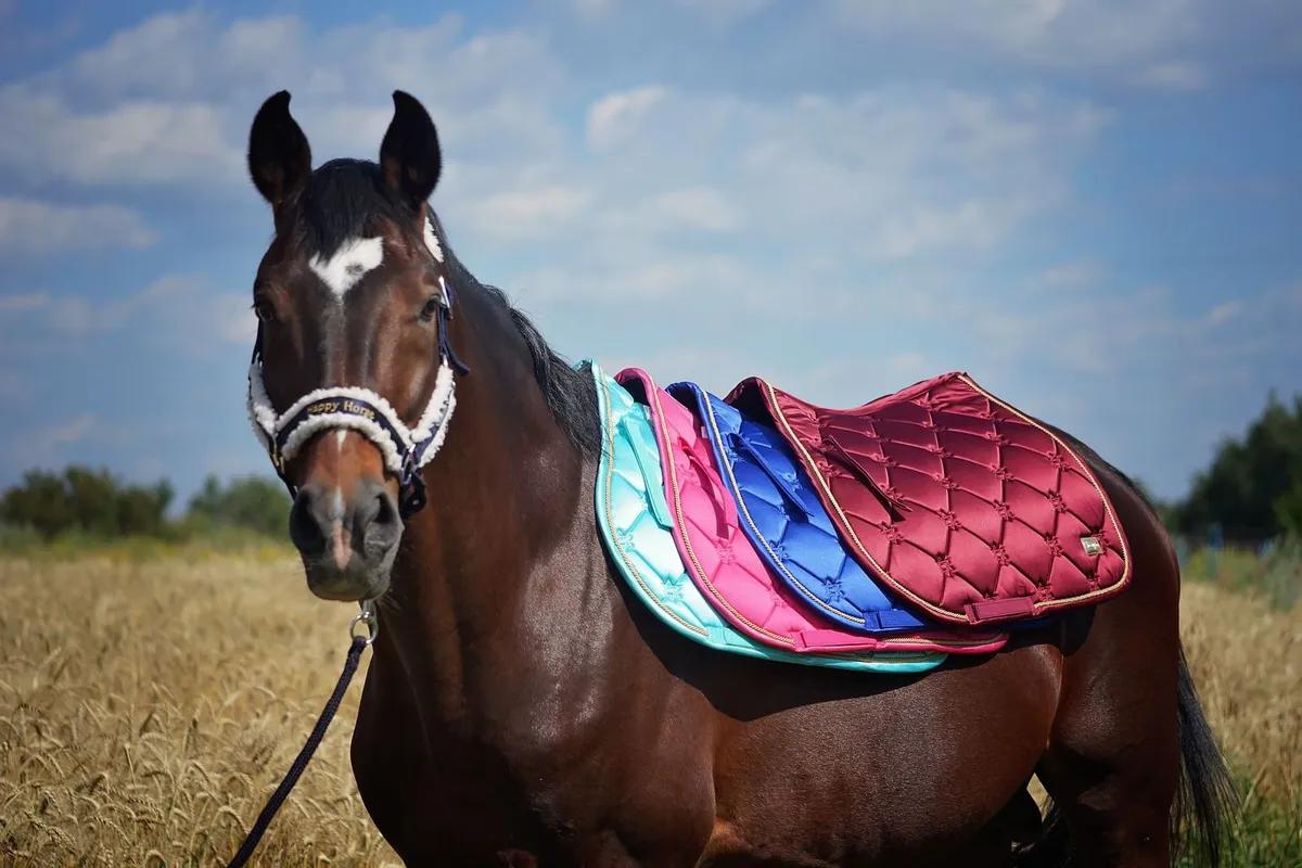 Вальтрап конкурный Happy Horse