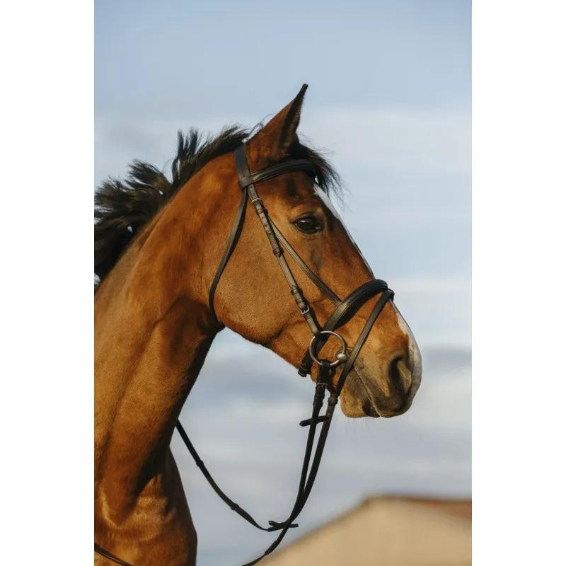 Оголовье "RIDING WORLD"