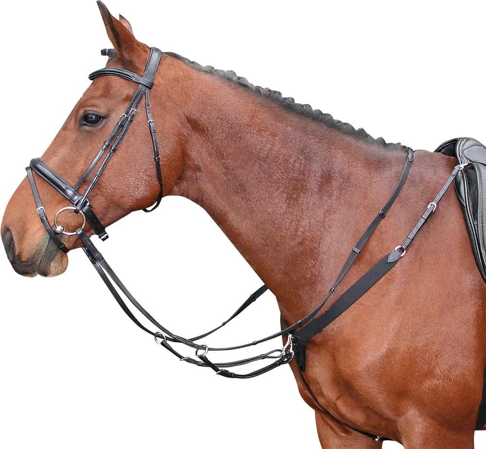 Мартингал с подперсьем Full (Harry's Horse Голландия)