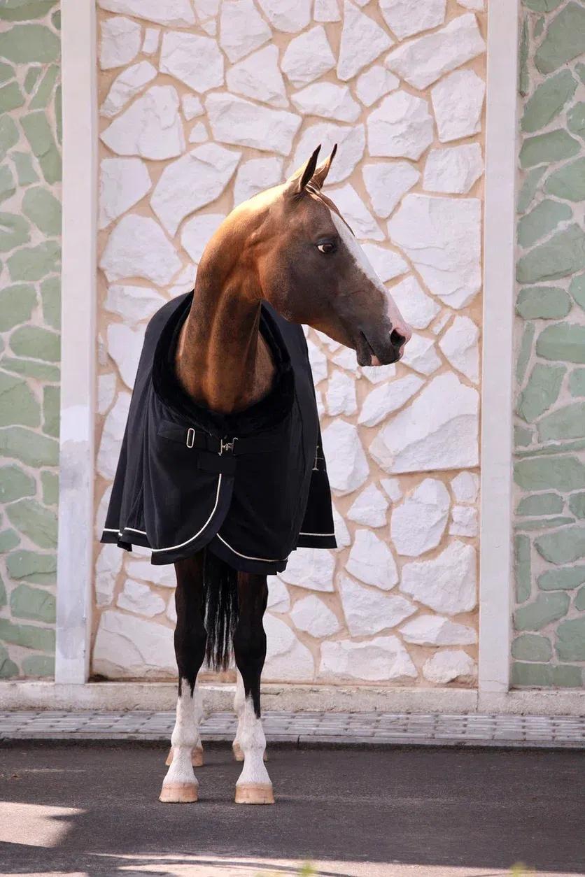 Попона SHEIKH HORSE BRAND, коллекция ORIENTAL, цвет черный, р-р 135