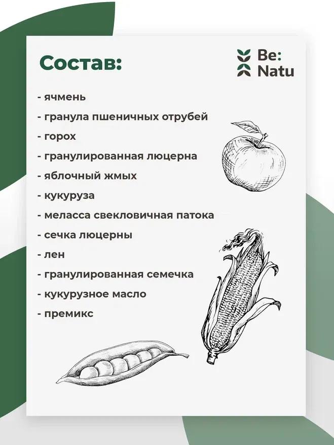 Be:Natu Every Day Mix