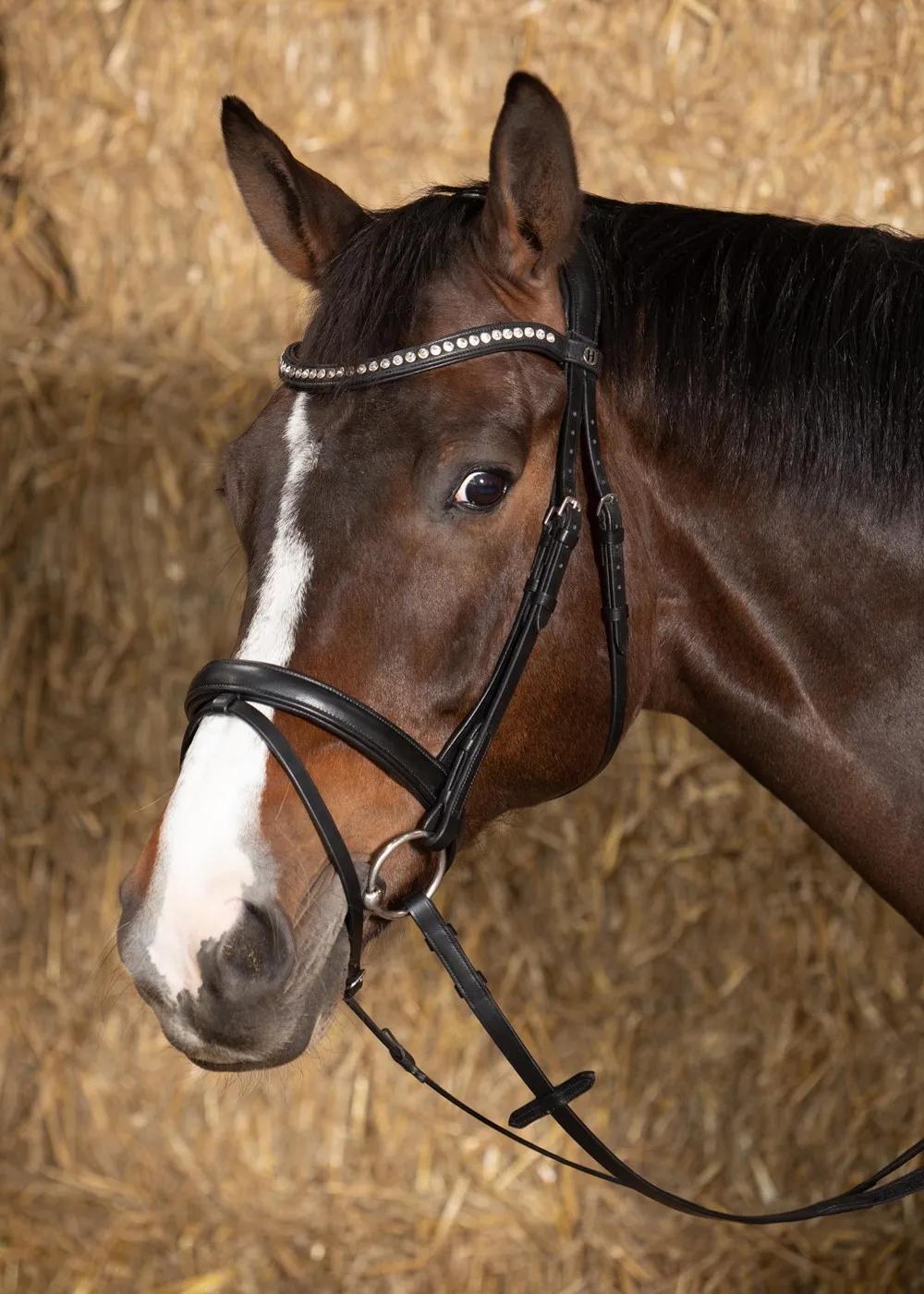 Уздечка для лошади кожаная Nero soft (Harry's Horse Голландия)