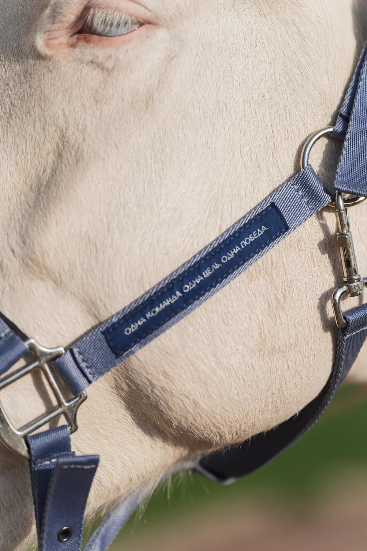 Недоуздок FAVORITE HORSE Comfort (голубой)
