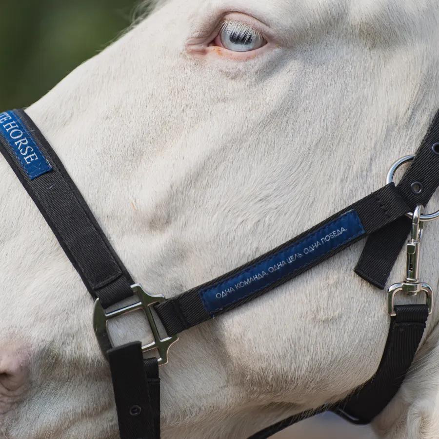 Недоуздок FAVORITE HORSE Comfort 