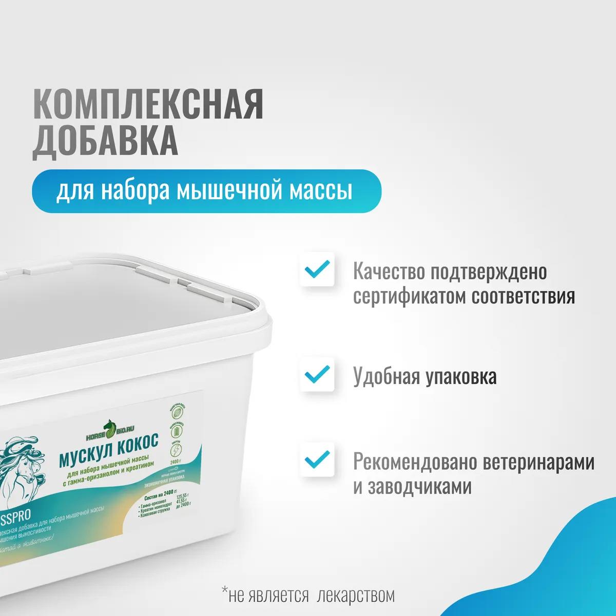 Мускул Кокос MassPro для лошадей MAXI, 2400 г