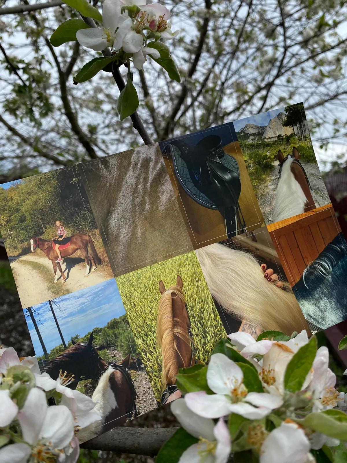Стикерпак (наклейки) Nature