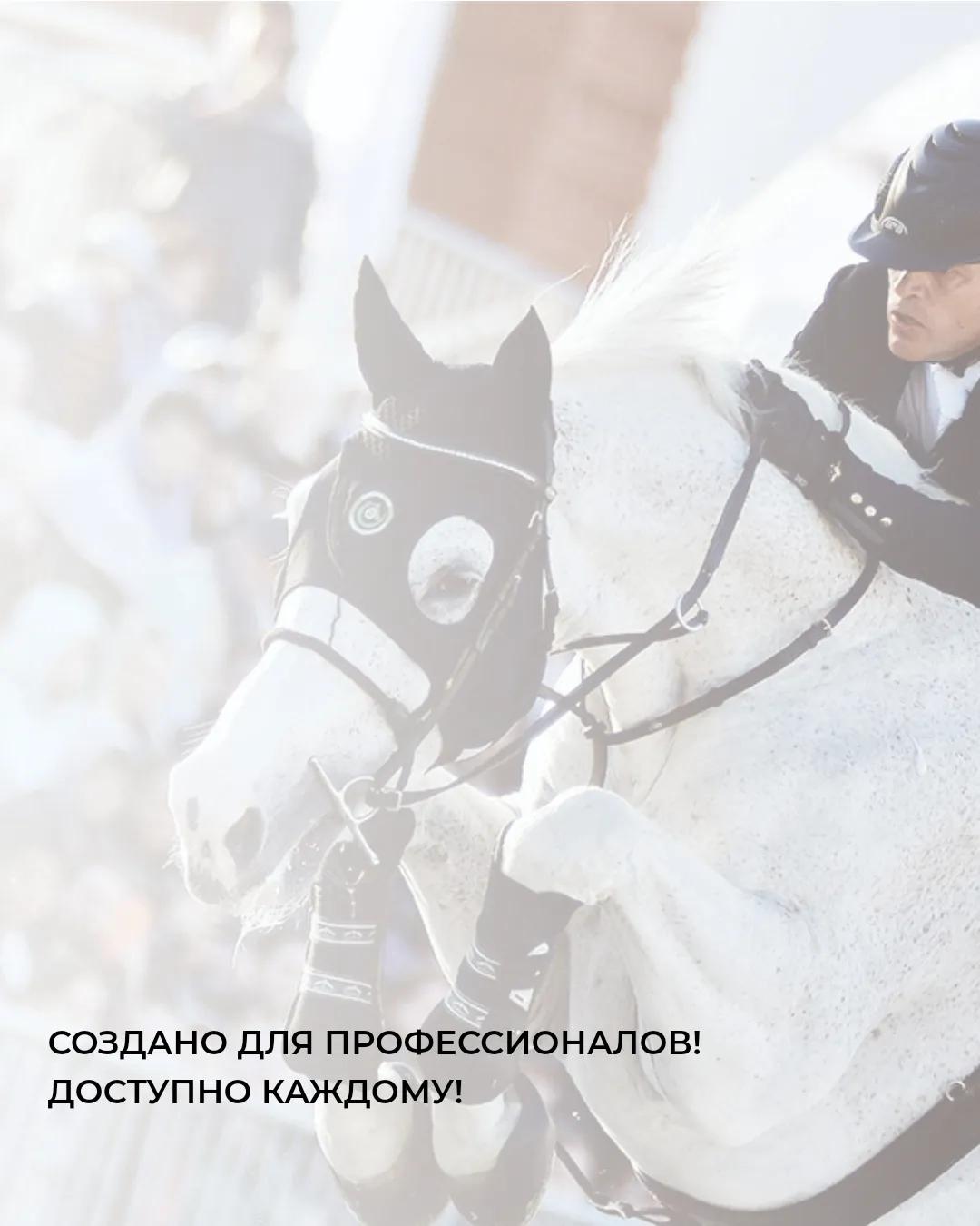 WG Кондиционер-спрей для лошадей мультифункциональный 0,5 л. WG Equestrian  Diamond Shine