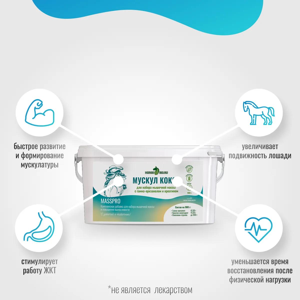 Мускул Кокос MassPro для лошадей, 900 г