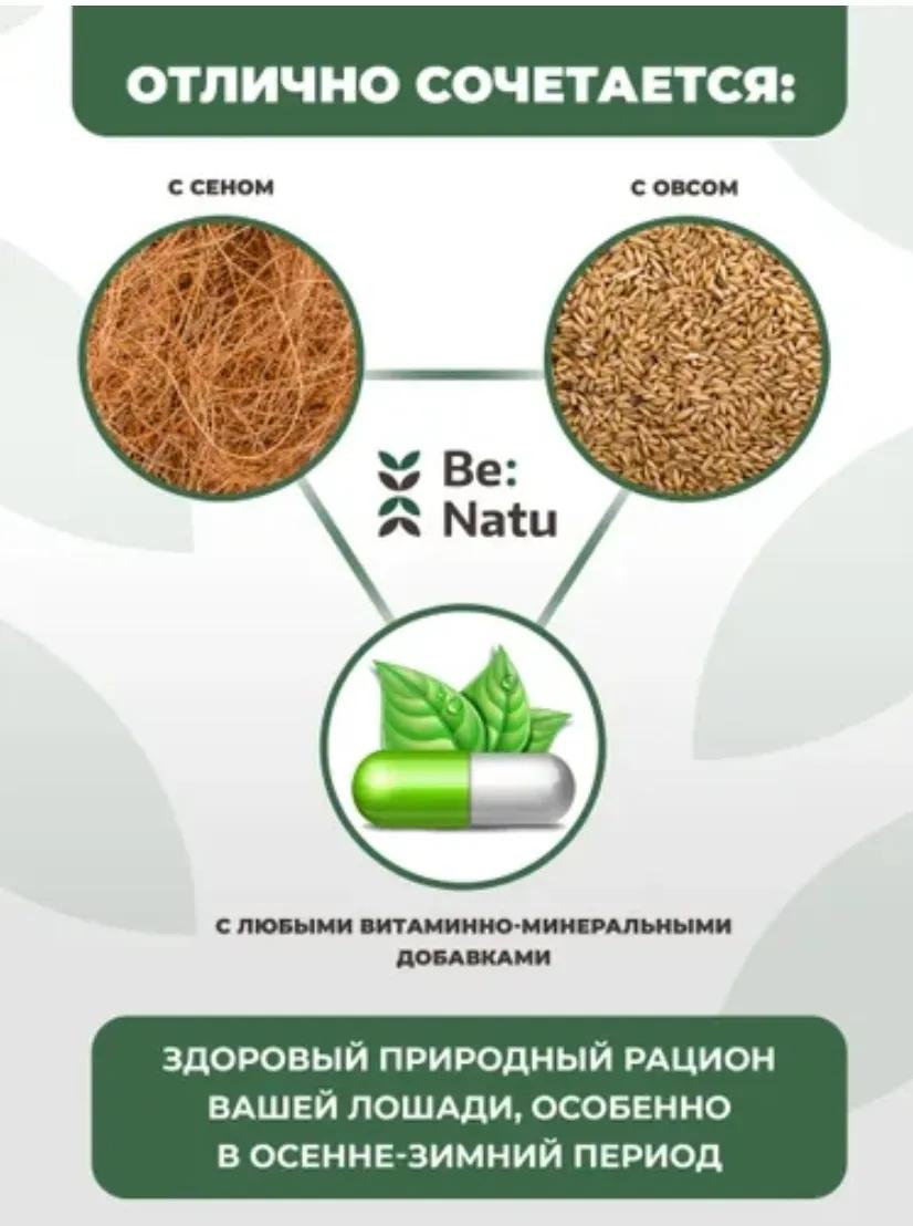BeNatu Лен PreFab кормовая добавка 10 кг Бесплатная доставка 