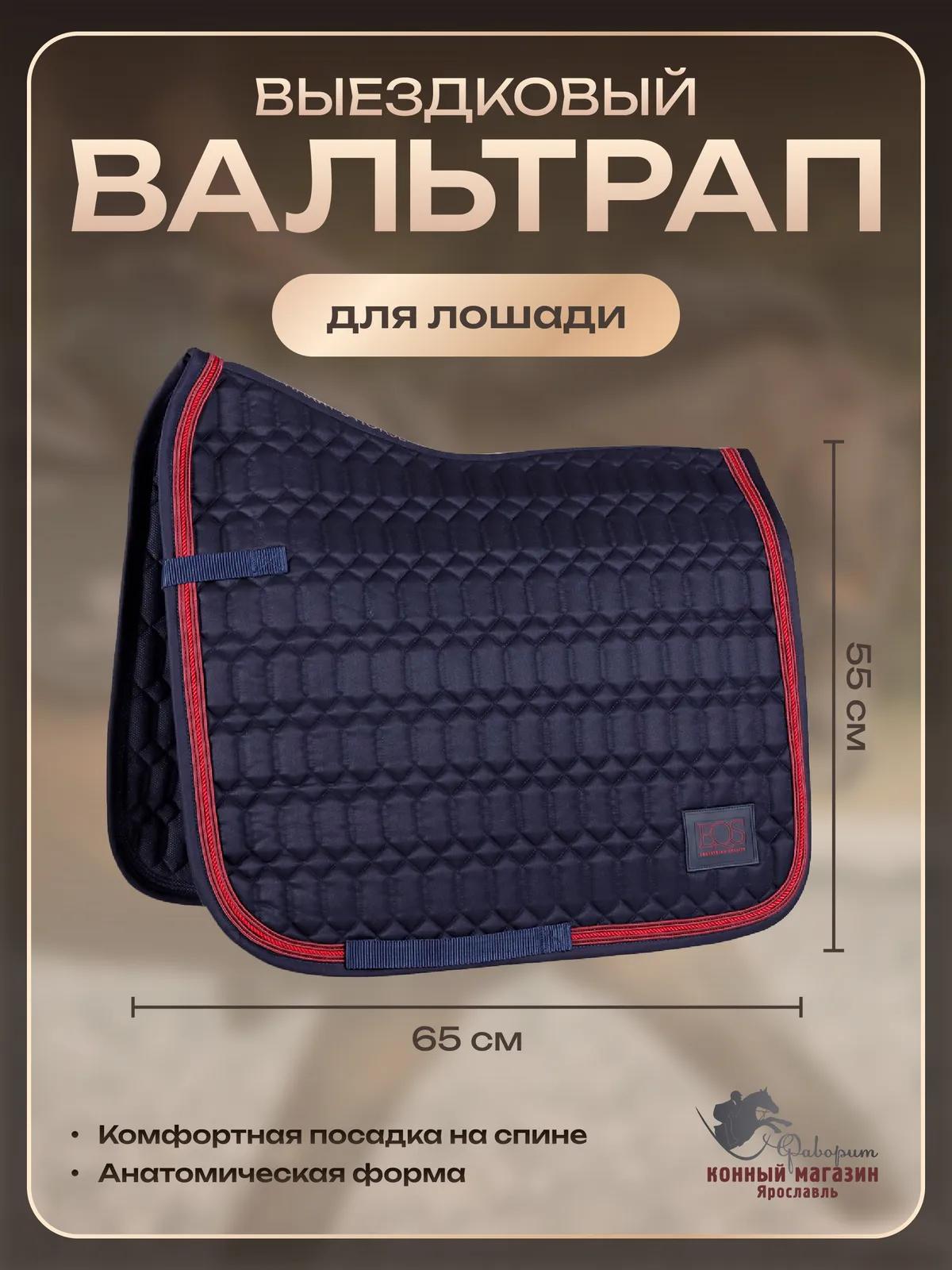 Вальтрап для лошади выездковый (Harry's Horse Голландия)