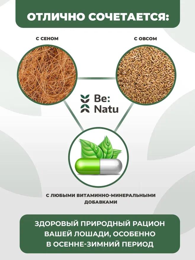 Be:Natu Every Day Mix