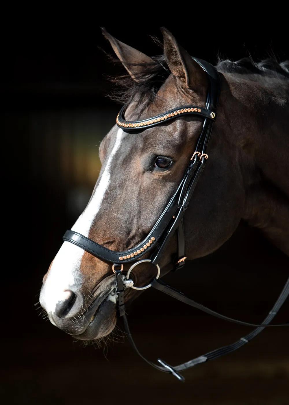 Уздечка для лошади кожаная Anatomic Rosegold (Harry's Horse Голландия)