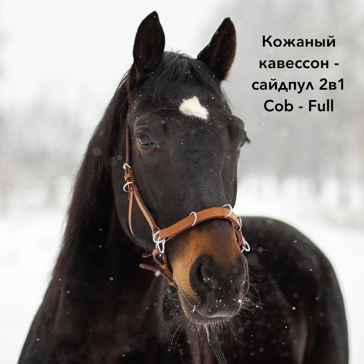 Кавессон Cob - Full 