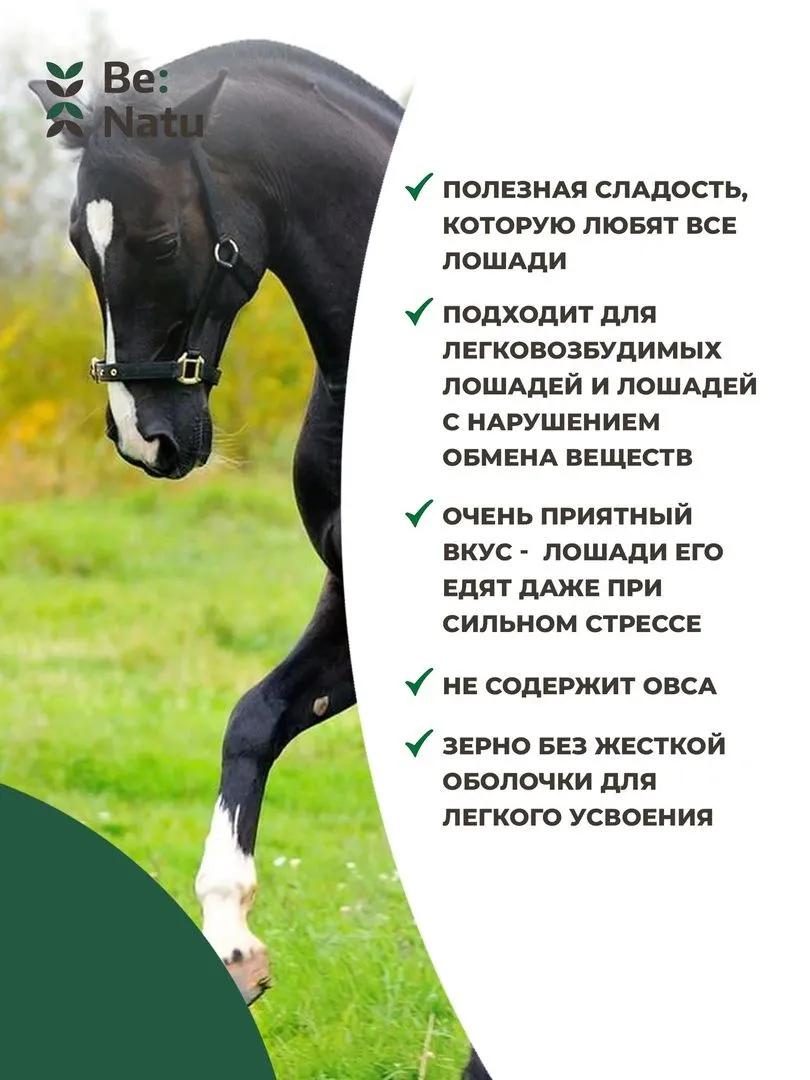Корм Tasty mash 20кг