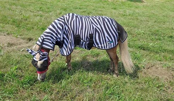 Попона антимоскитная с капором и подпузником mimimi minihorse Air Max Zebra