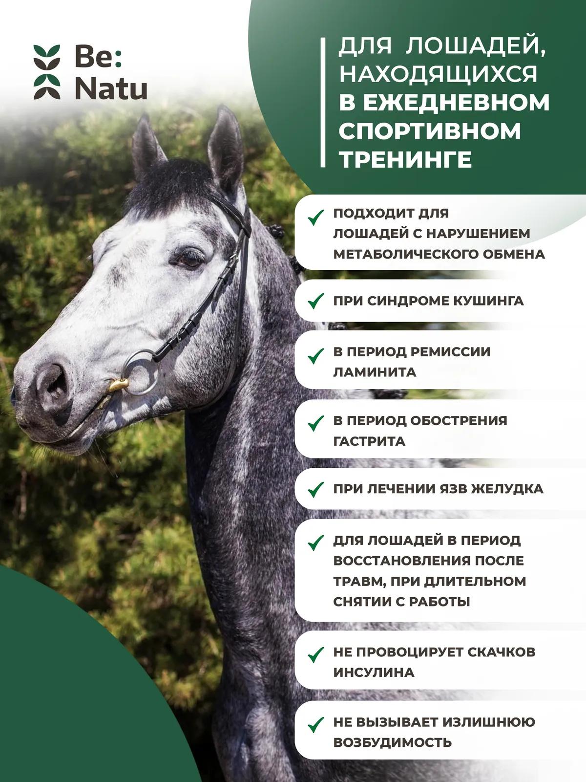 Metamash 20 кг