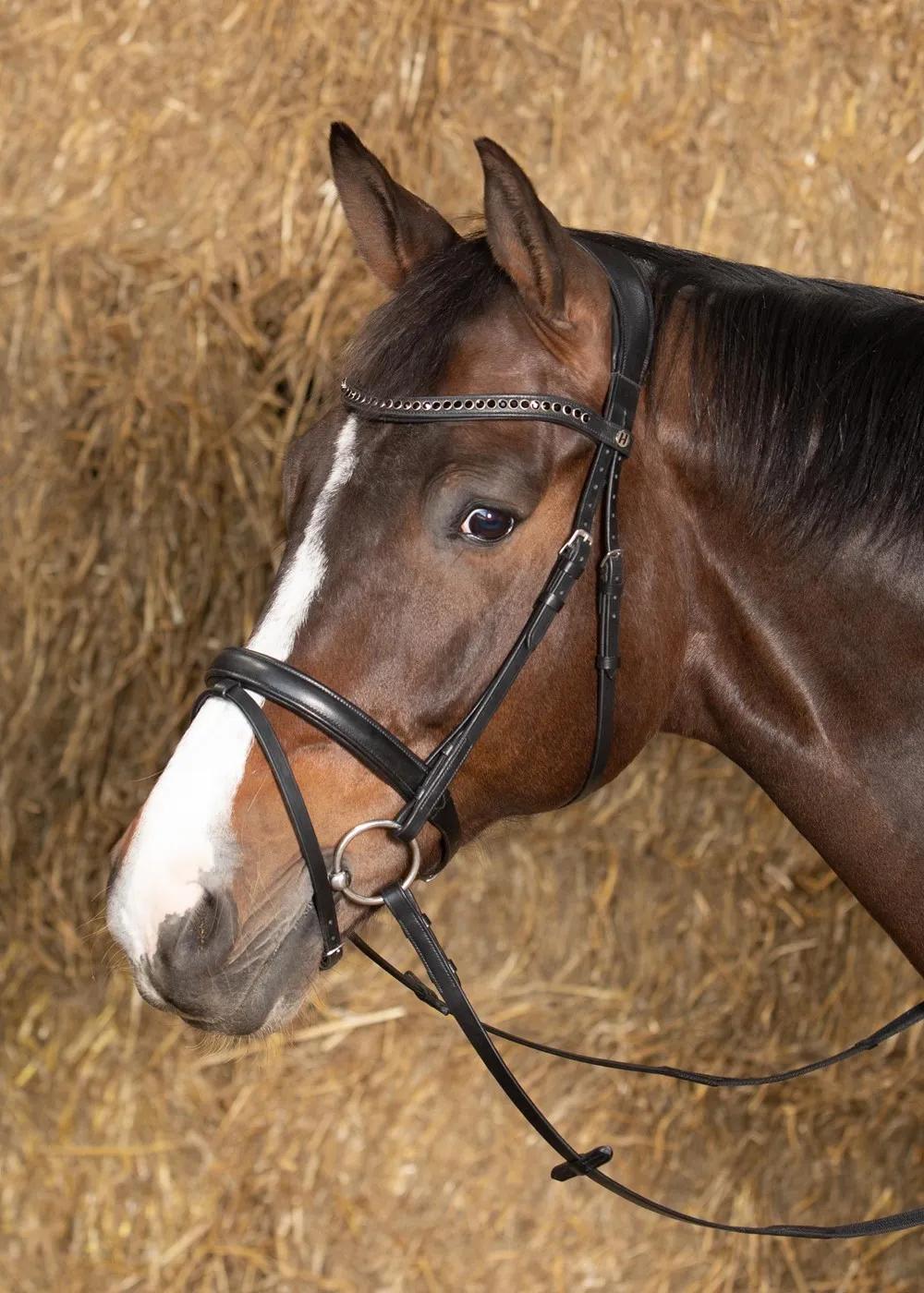 Уздечка для лошади кожаная Nero soft (Harry's Horse Голландия)