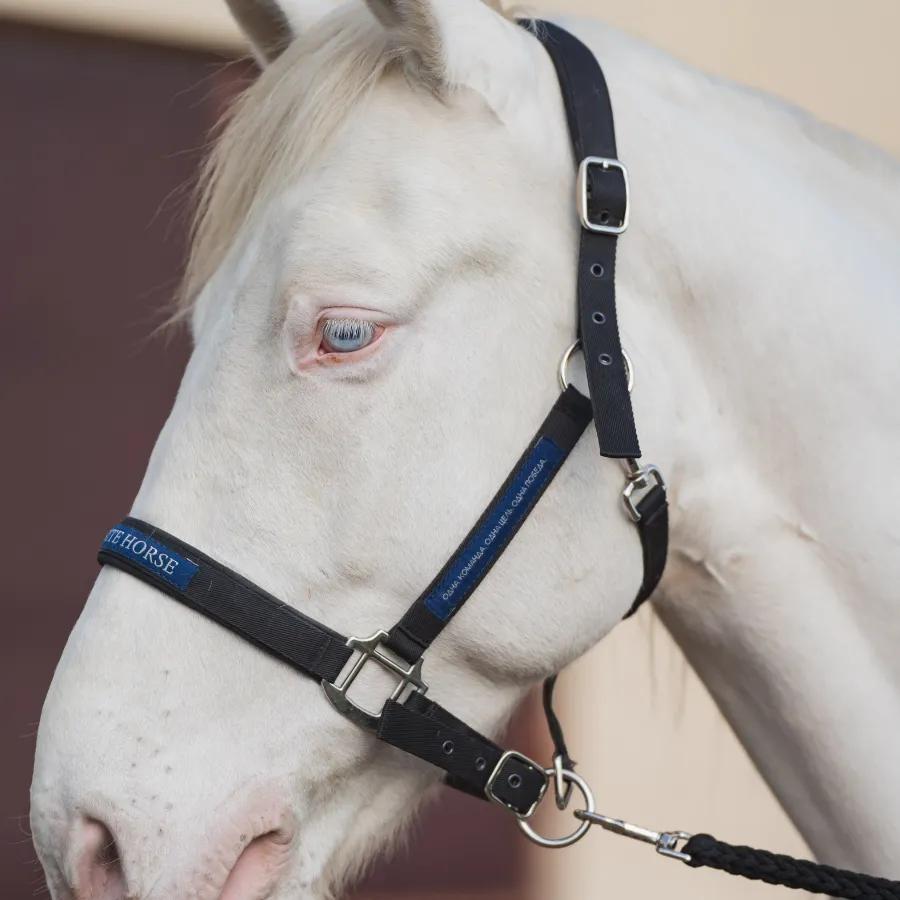 Недоуздок FAVORITE HORSE Comfort 