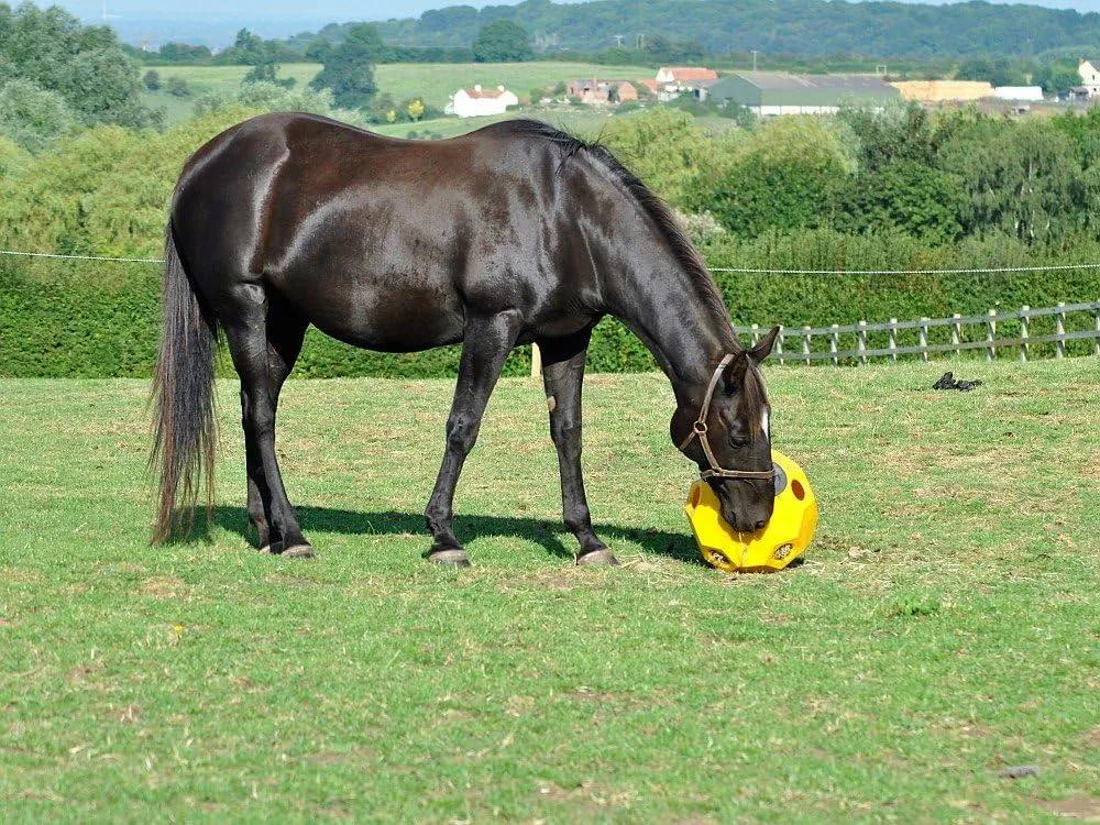 Кормушка-игрушка "Happy Hay Play"