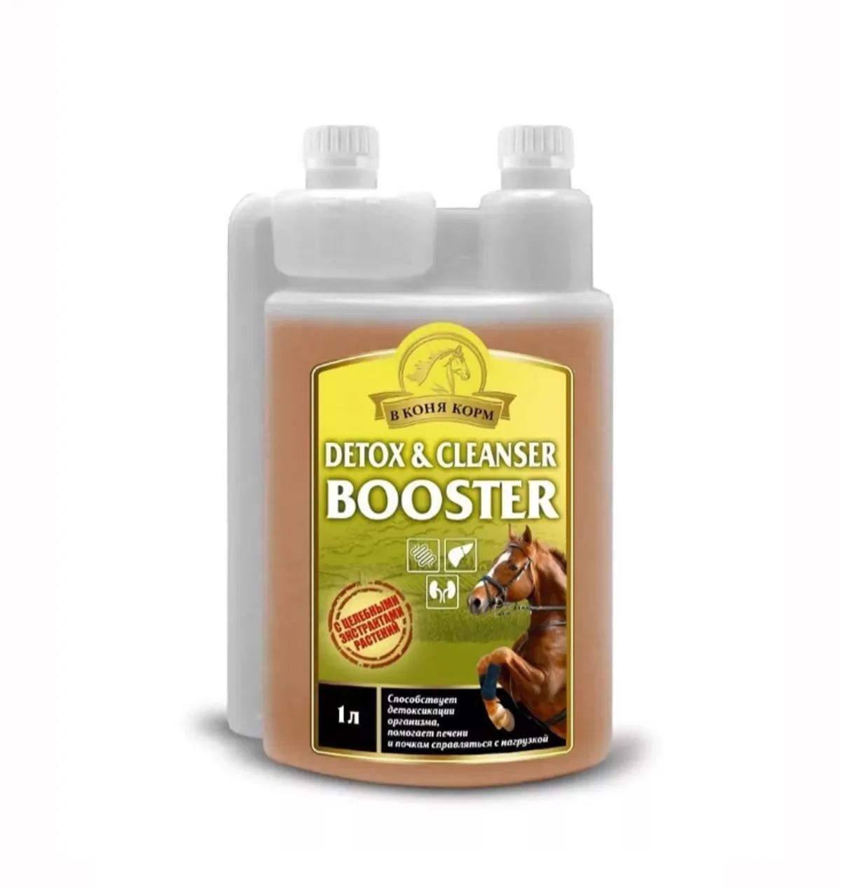 Booster Detox and Cleanser сироп