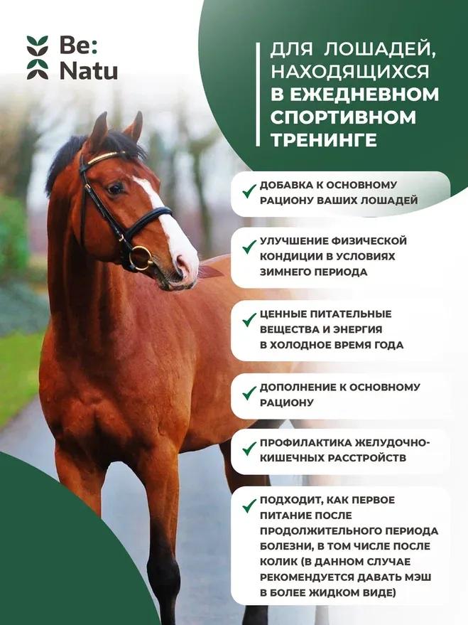 Be:Natu Winter mash 20кг.