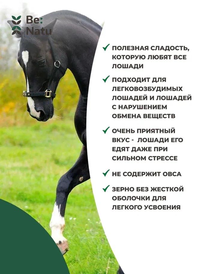 Be:Natu Tasty mash 1 кг.
