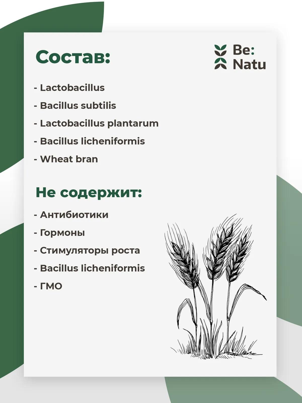 Be:Ficin 0,5кг