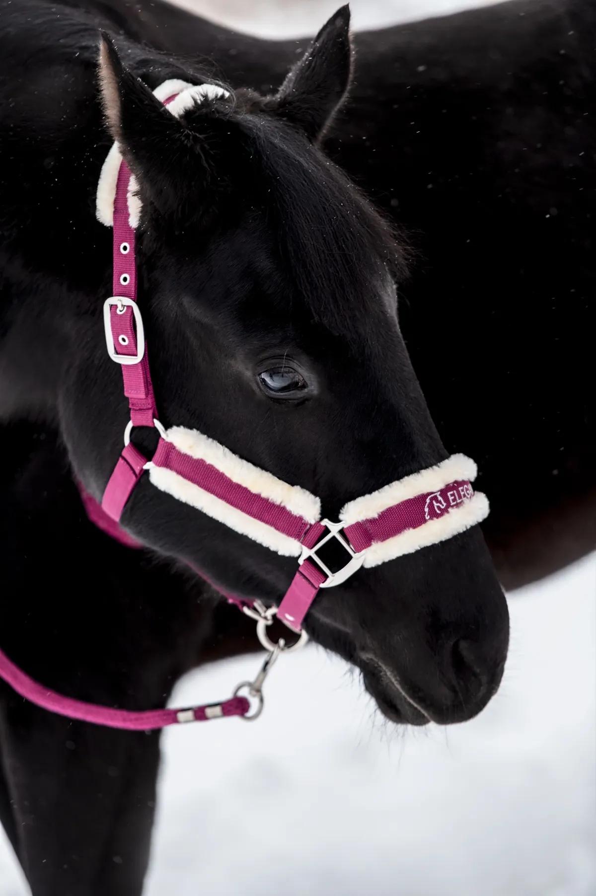 Недоуздок с искусственным мехом и чомбур из коллекции Magic II от Elegant Equine
