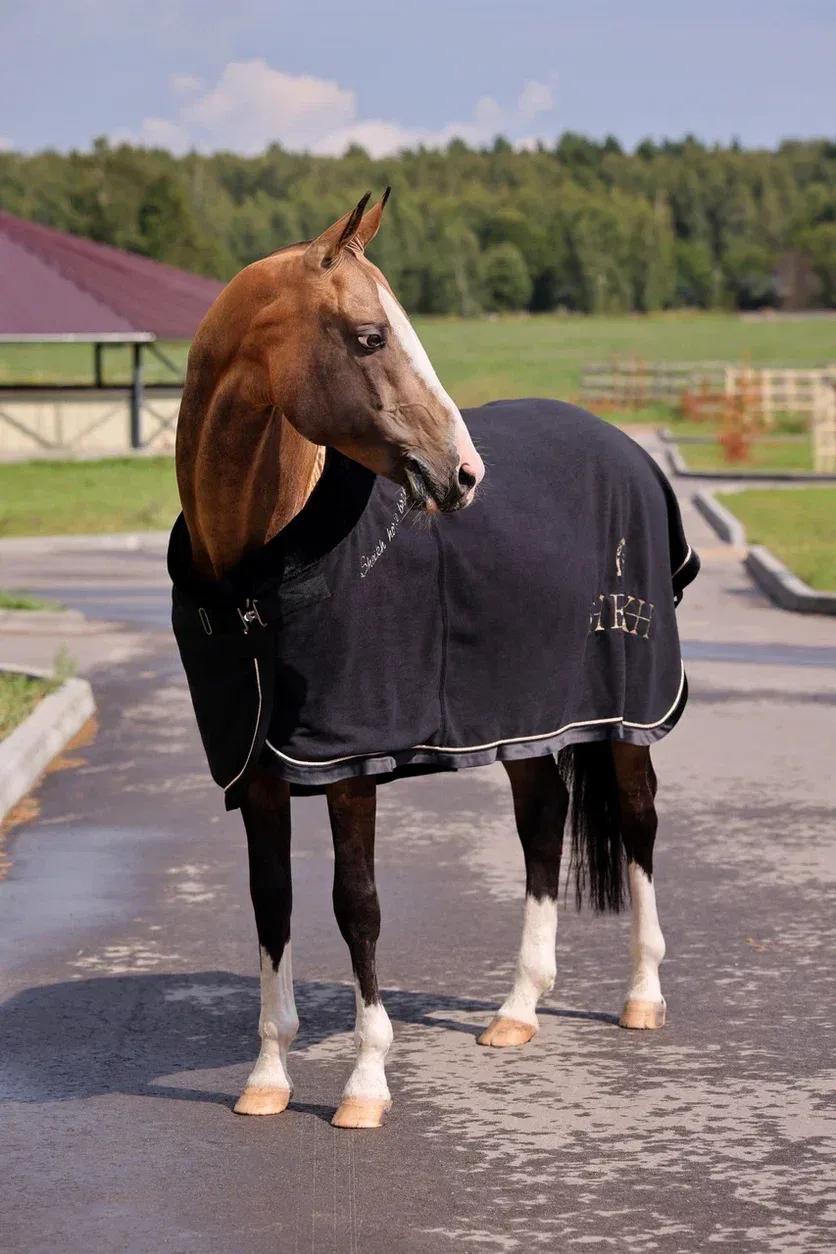 Попона SHEIKH HORSE BRAND, коллекция ORIENTAL, цвет черный, р-р 155