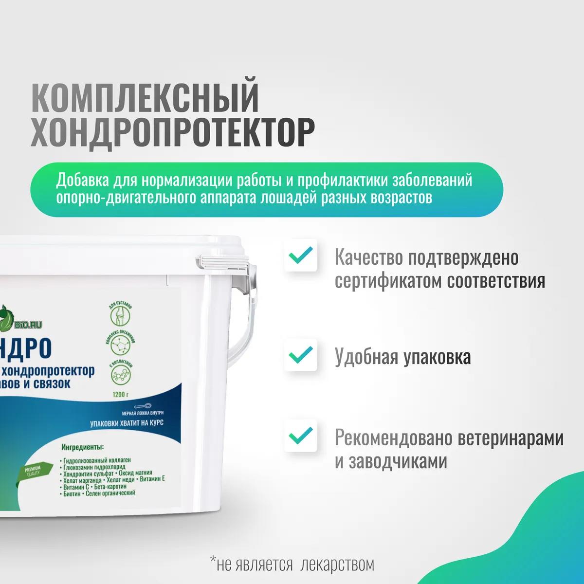 Хондропротектор ХОНДРО ArtroPro для лошадей, 1200 г