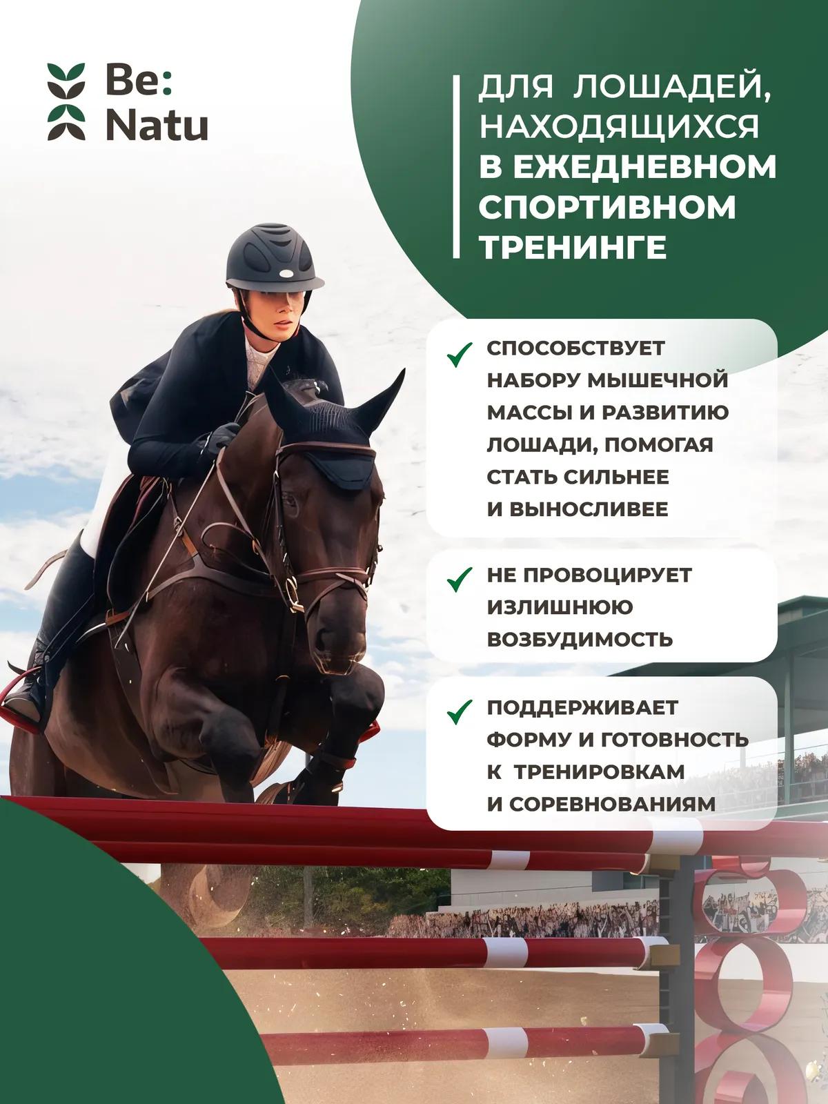 Be:Natu Fiber mix 0,5 кг.