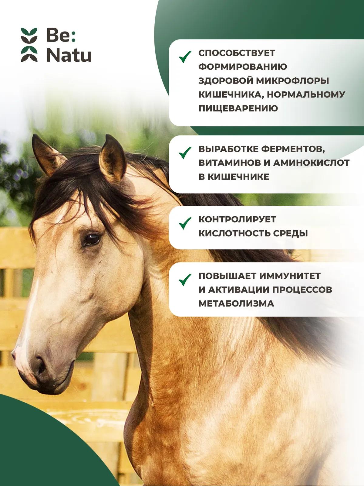 Be:Ficin 0,5кг
