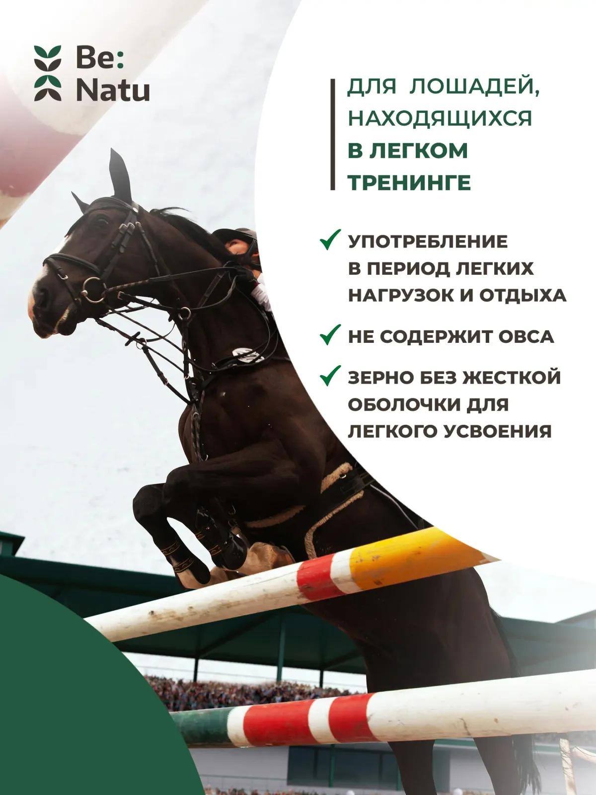 Корм Be:Natu д/лошадей Pro:sport mix 20кг 77020120