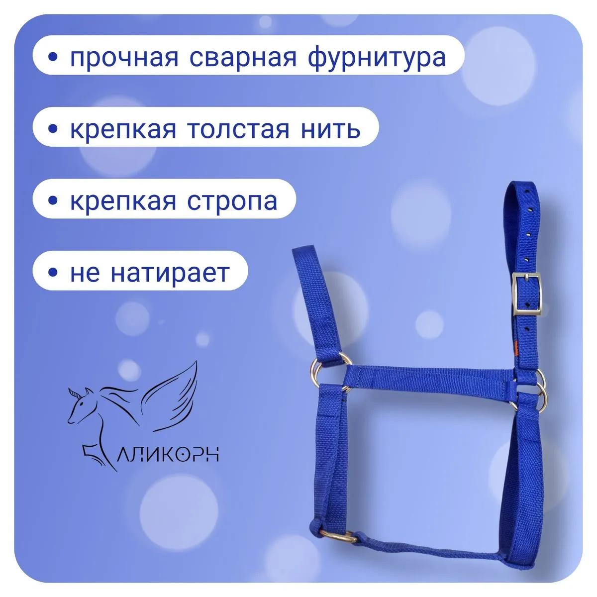Недоуздок 