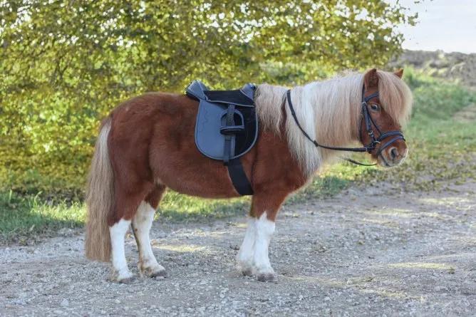 Седло "Economy Pony"