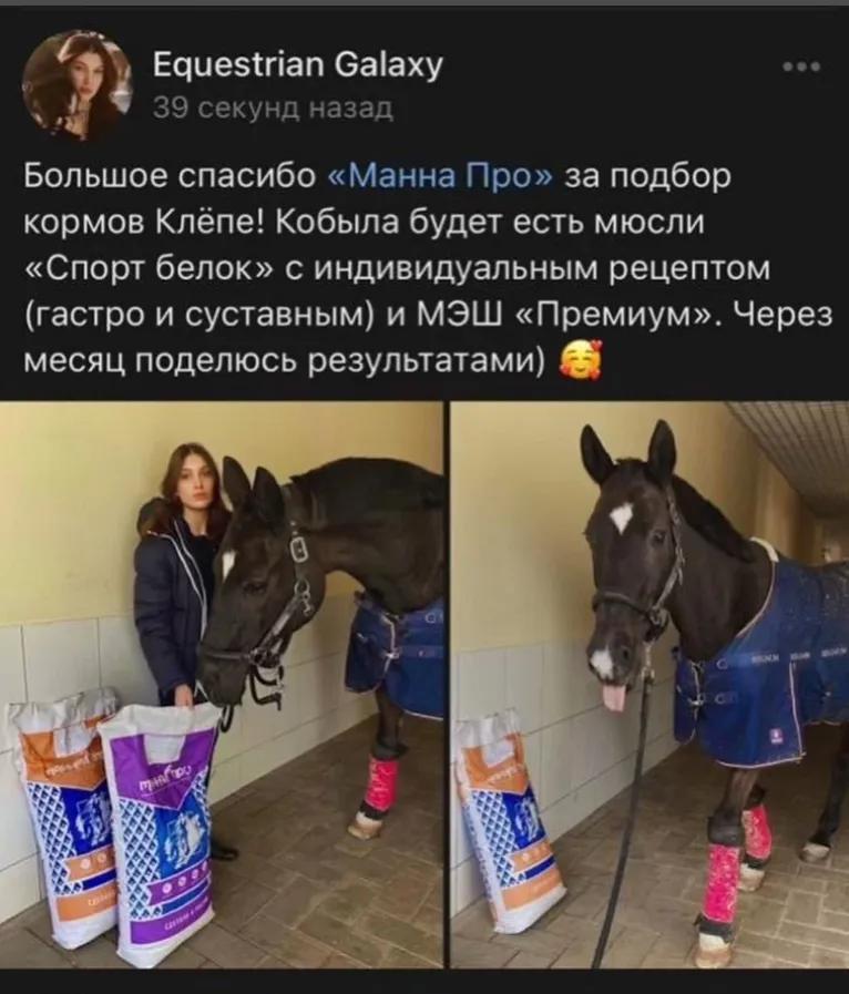 Манна Про Лайт 