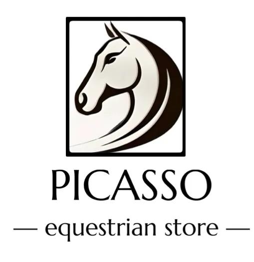 Логотип PICASSO