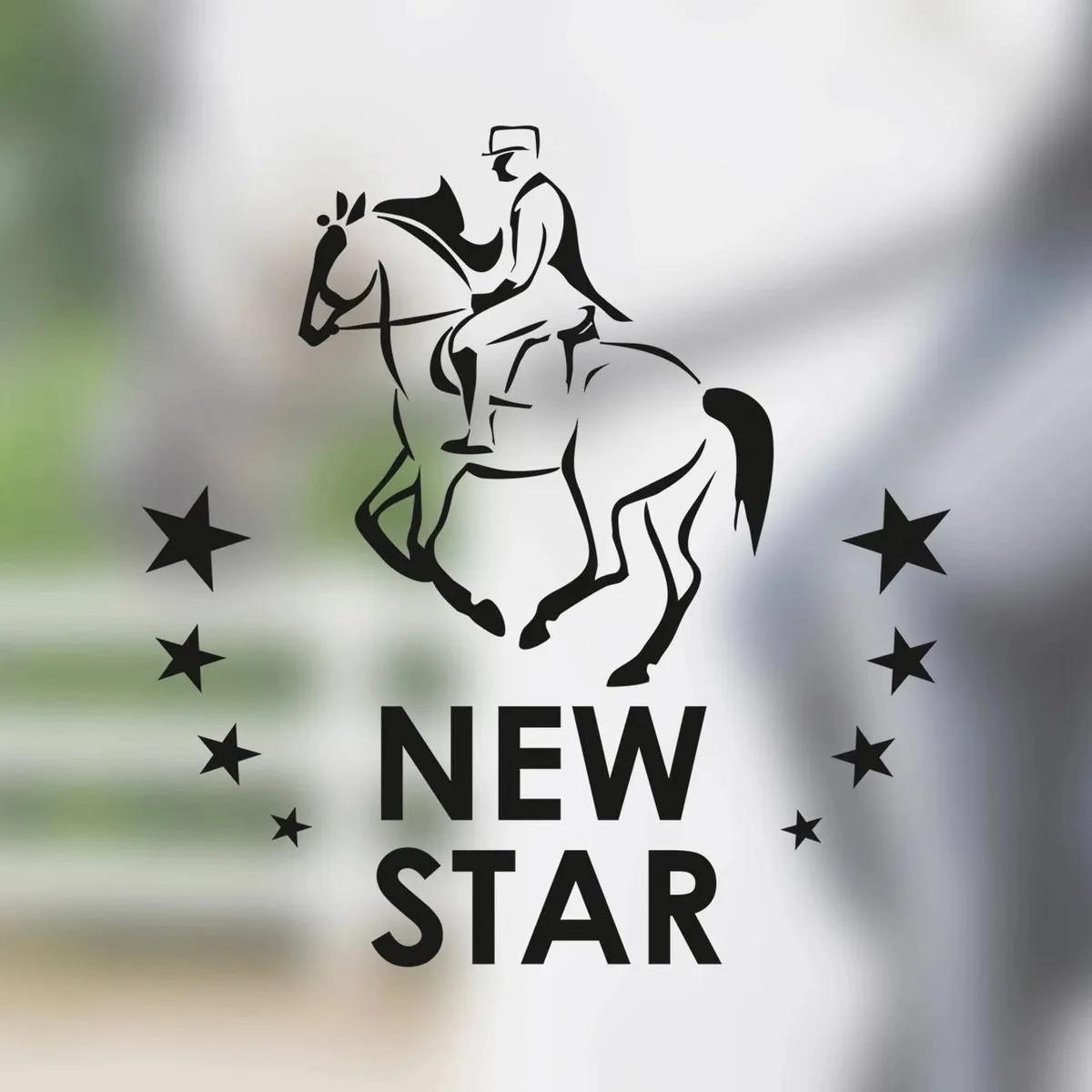 Логотип New star