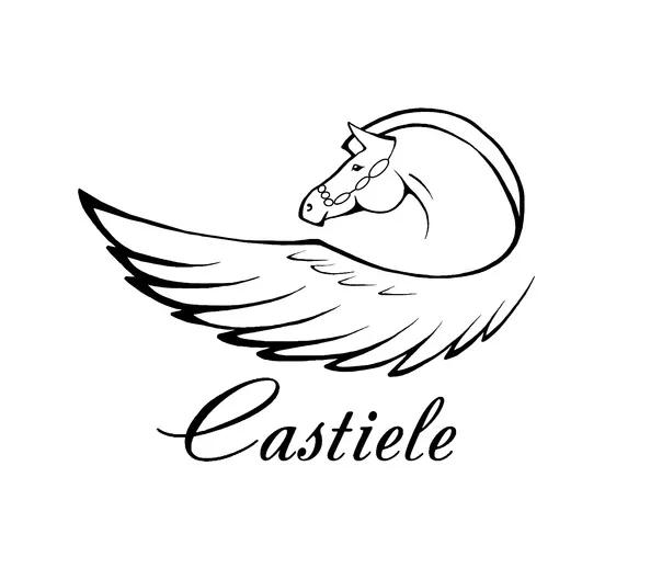 Баннер магазина Castiele