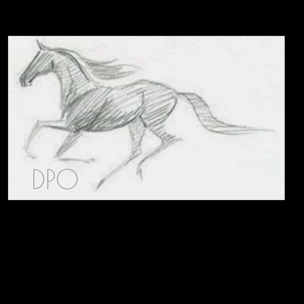 Баннер магазина Equestore