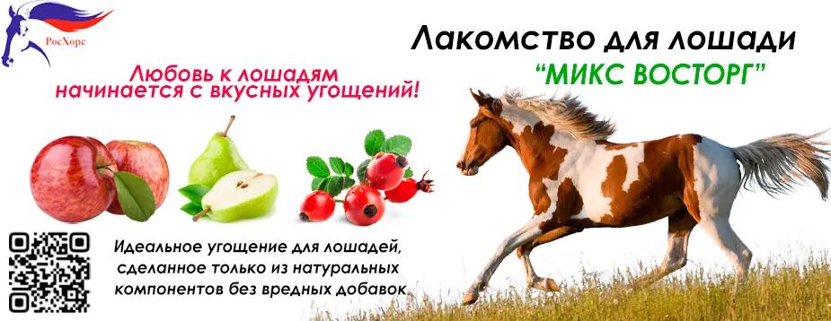 Баннер магазина РосХорс