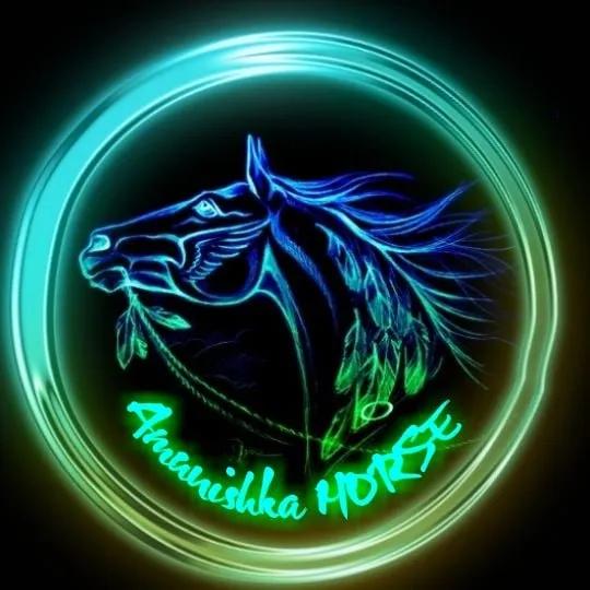 Логотип Amunishka-HORSE