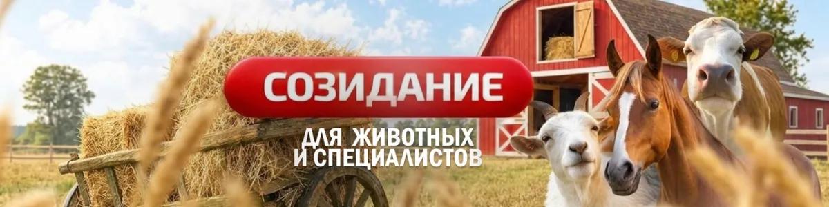 Баннер магазина Созидание ТД