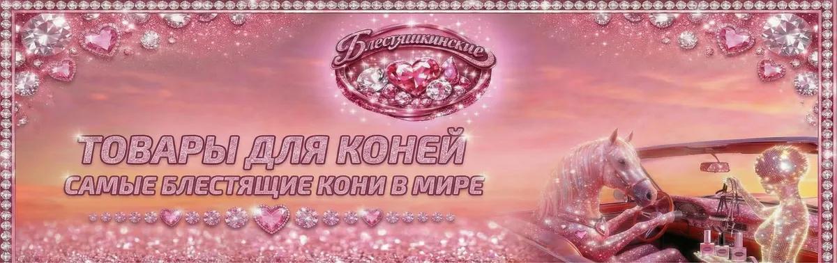 Баннер магазина Блестяшкинские
