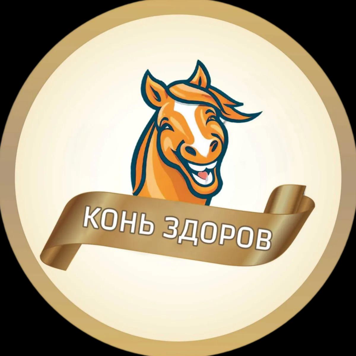 Логотип Конь Здоров