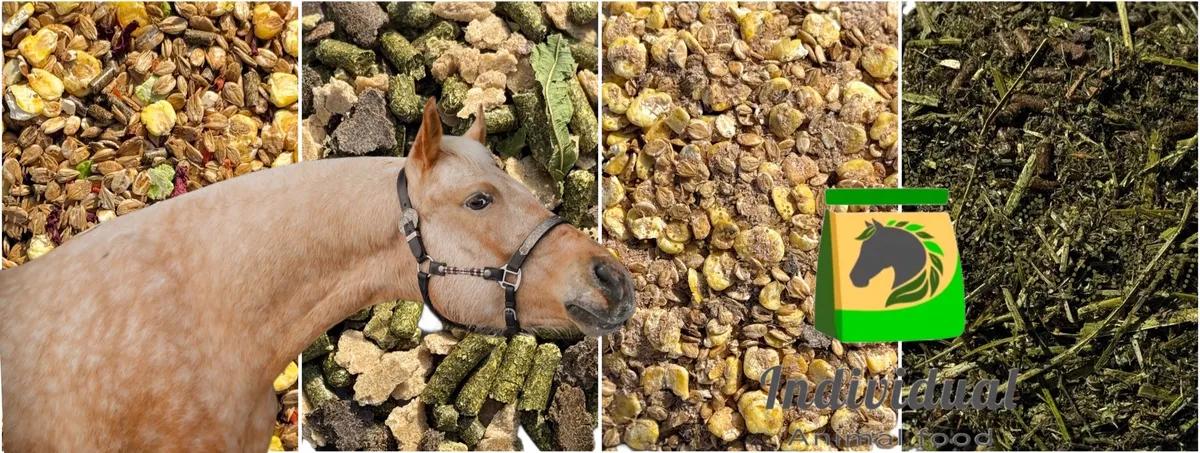 Баннер магазина Individual Animal Food