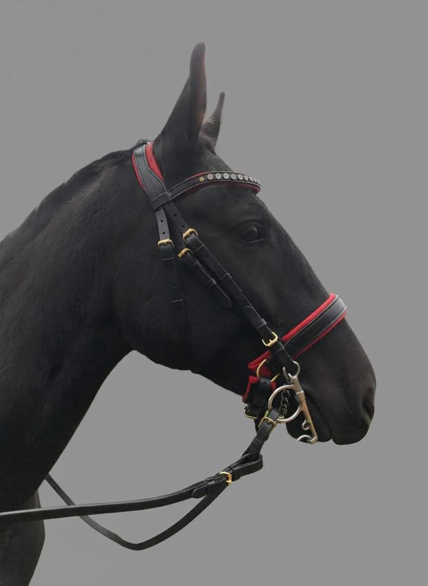 Баннер магазина TAURUS