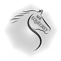 Логотип MR.EqueGrey