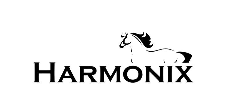 Логотип Harmonix